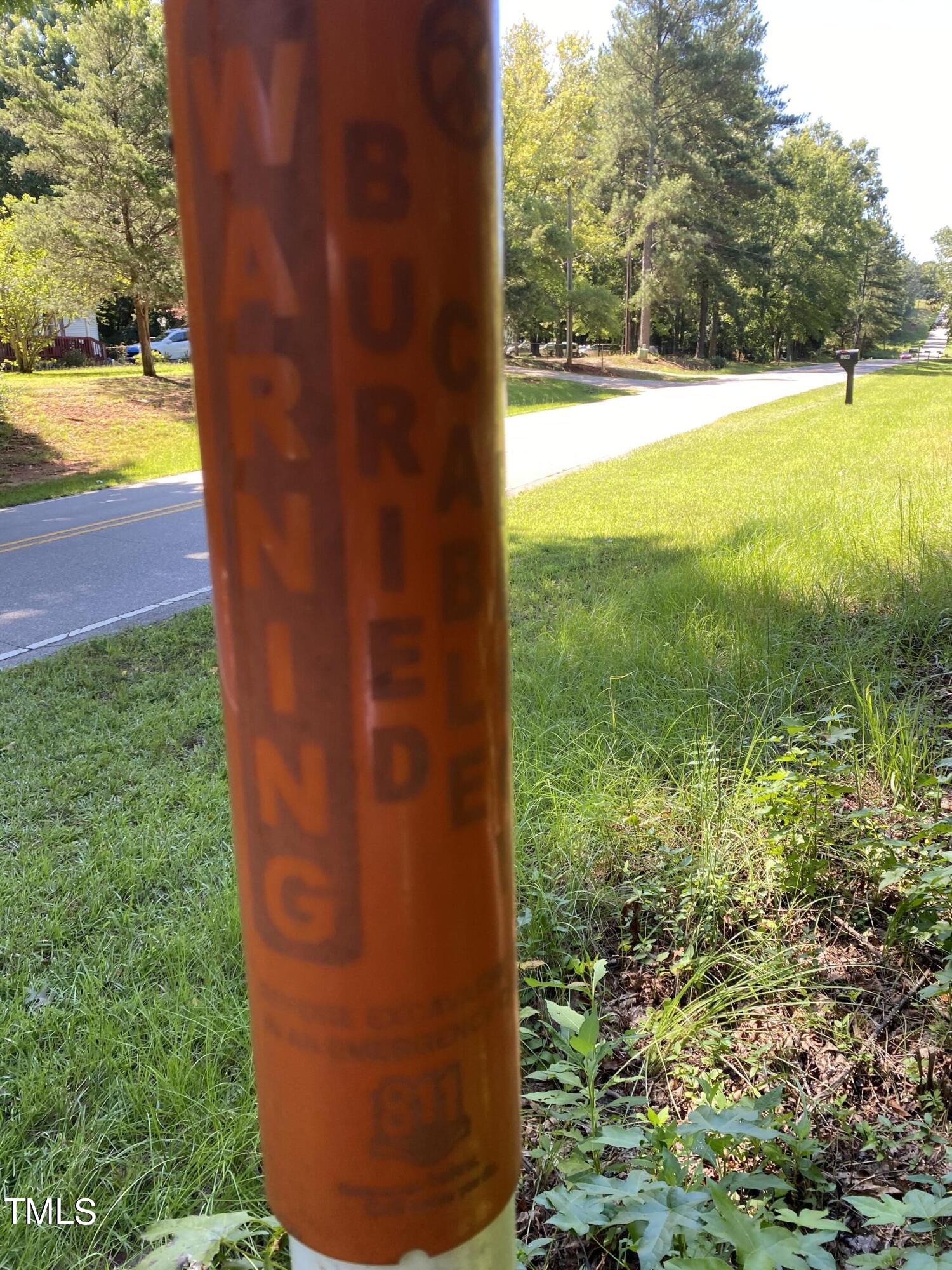 0 Collins Road Norlina, NC 27563 - Photo 15 of 17 IMG_7150