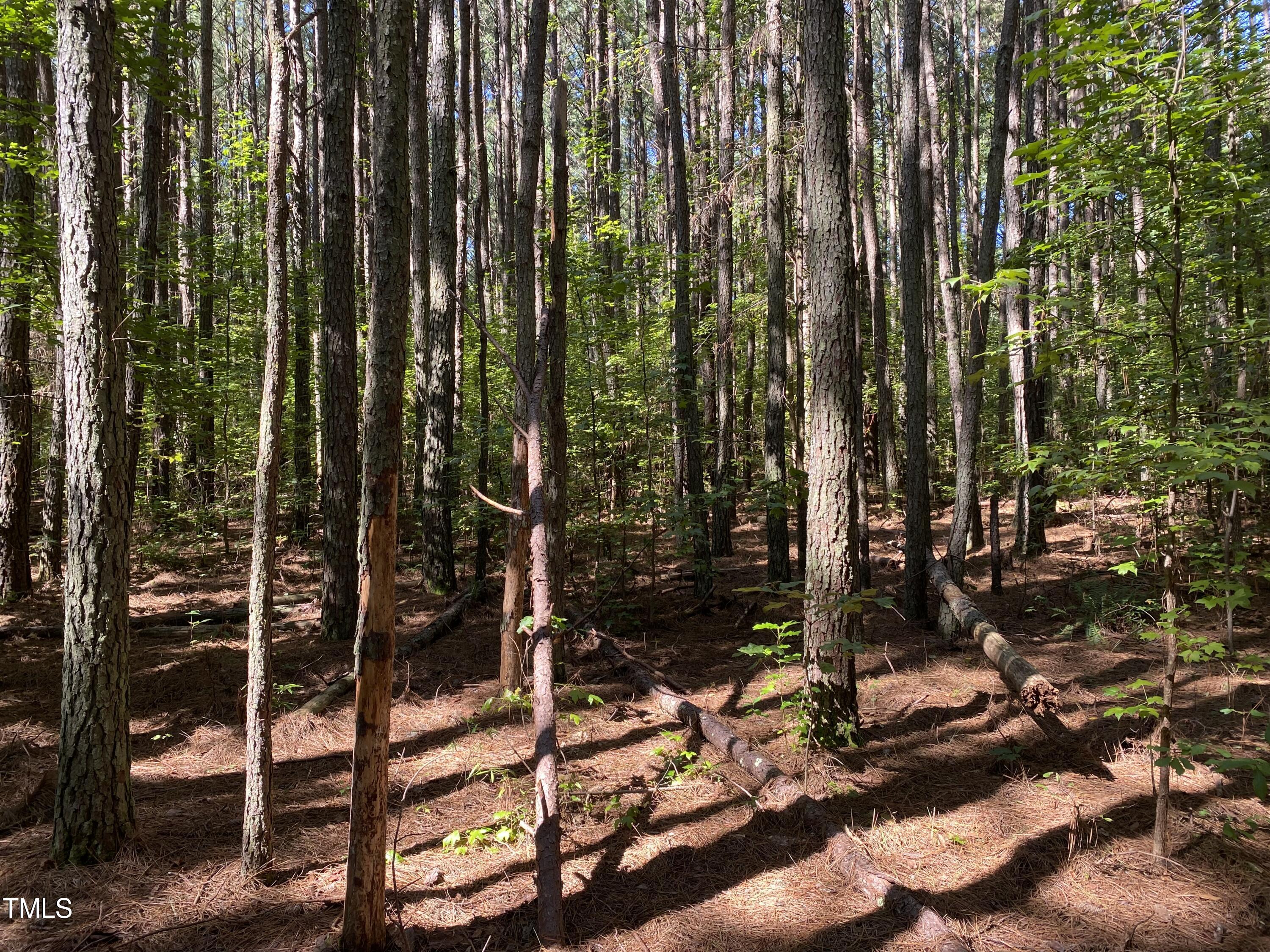 0 Collins Road Norlina, NC 27563 - Photo 2 of 17 IMG_7141