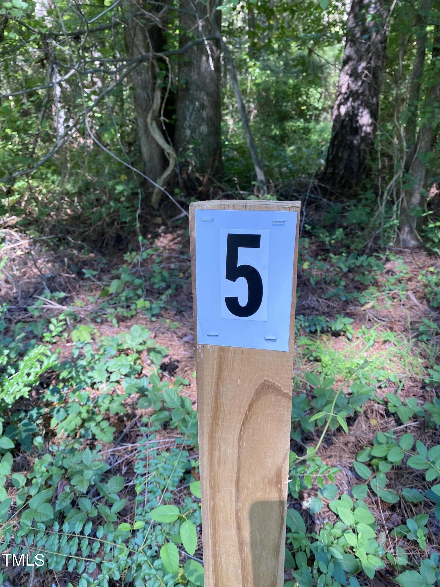 0 Collins Road Norlina, NC 27563 - Photo 8 of 17 IMG_7139