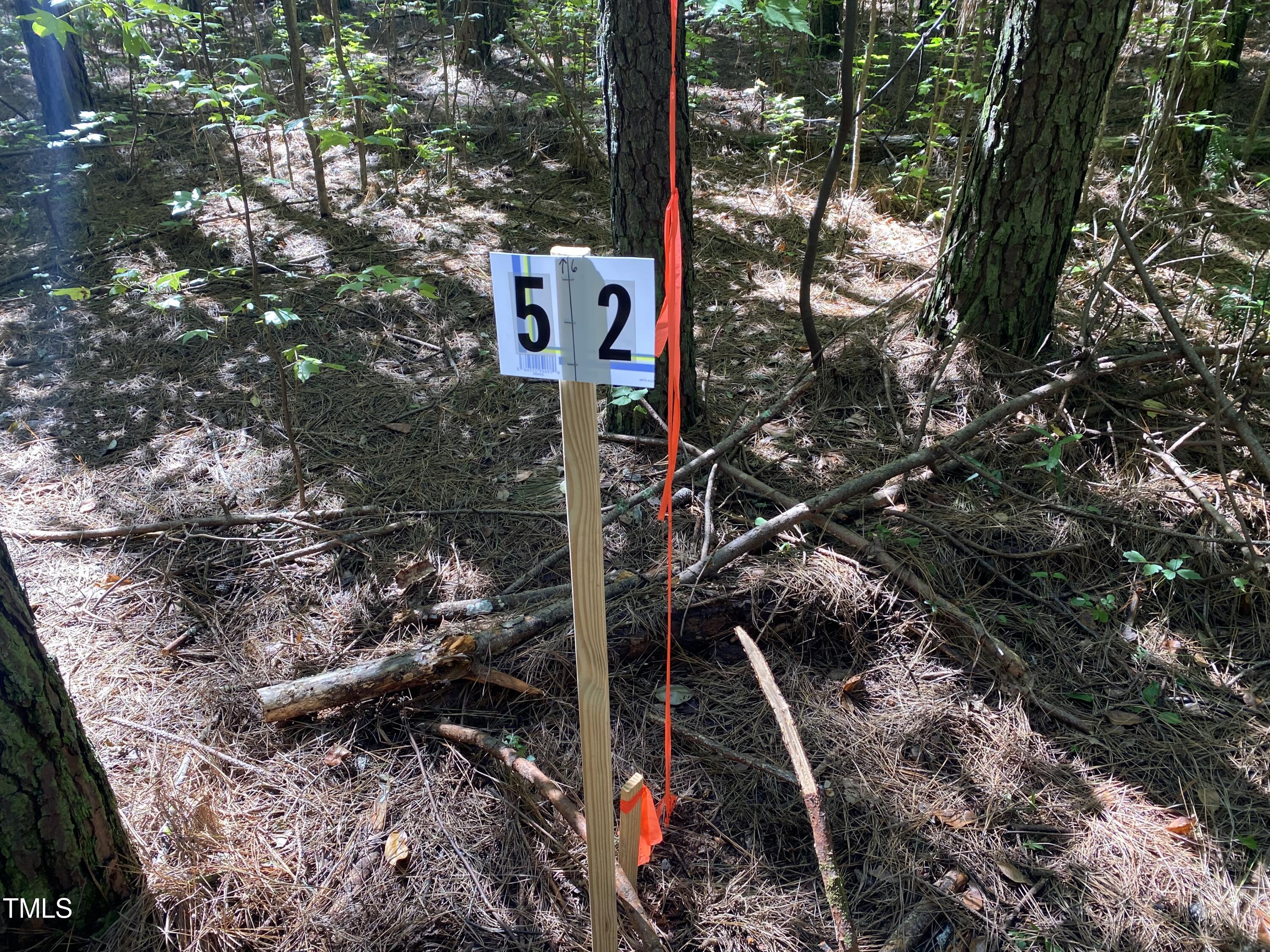 0 Collins Road Norlina, NC 27563 - Photo 9 of 17 IMG_7142