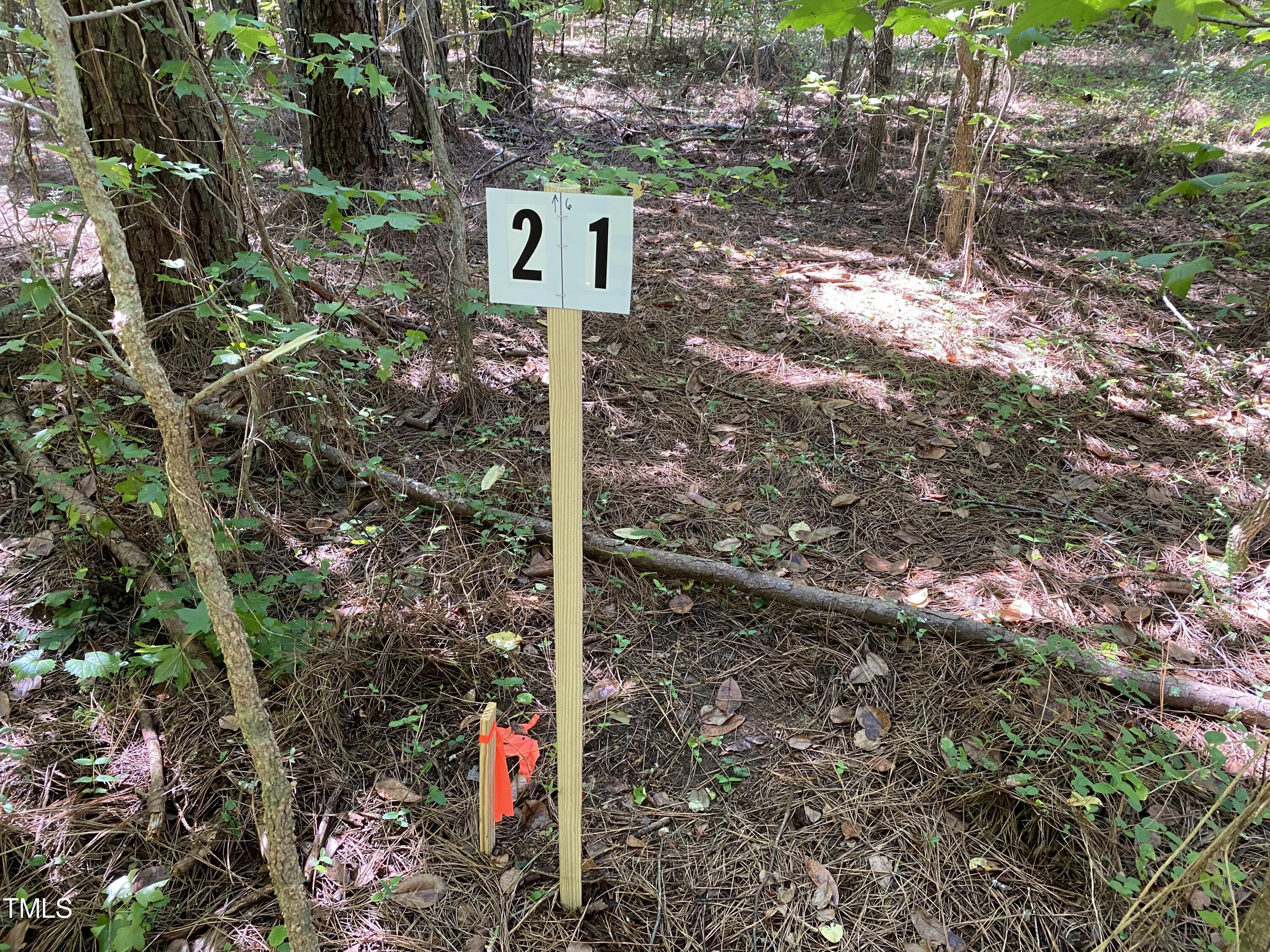 0 Collins Road Norlina, NC 27563 - Photo 10 of 17 IMG_7143