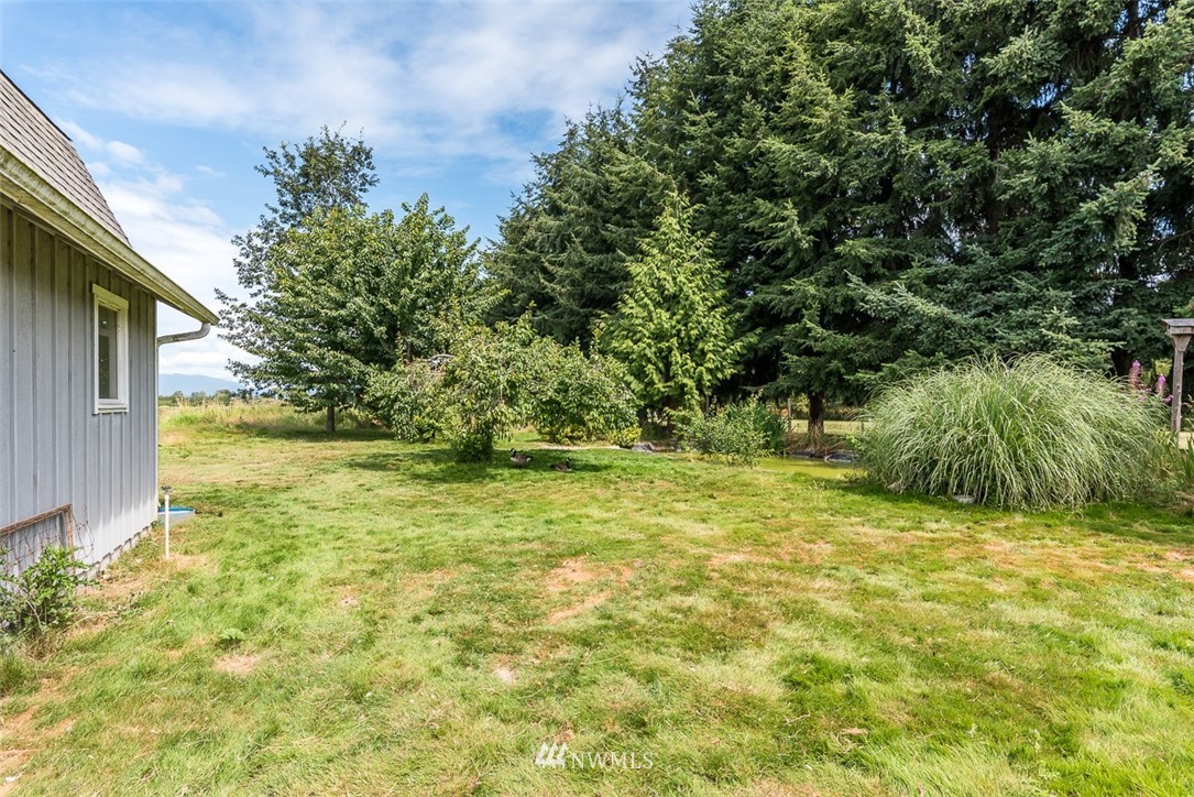 17855 Bennett Road Mount Vernon, WA 98273 - Photo 38 of 40 a view of a yard with an trees