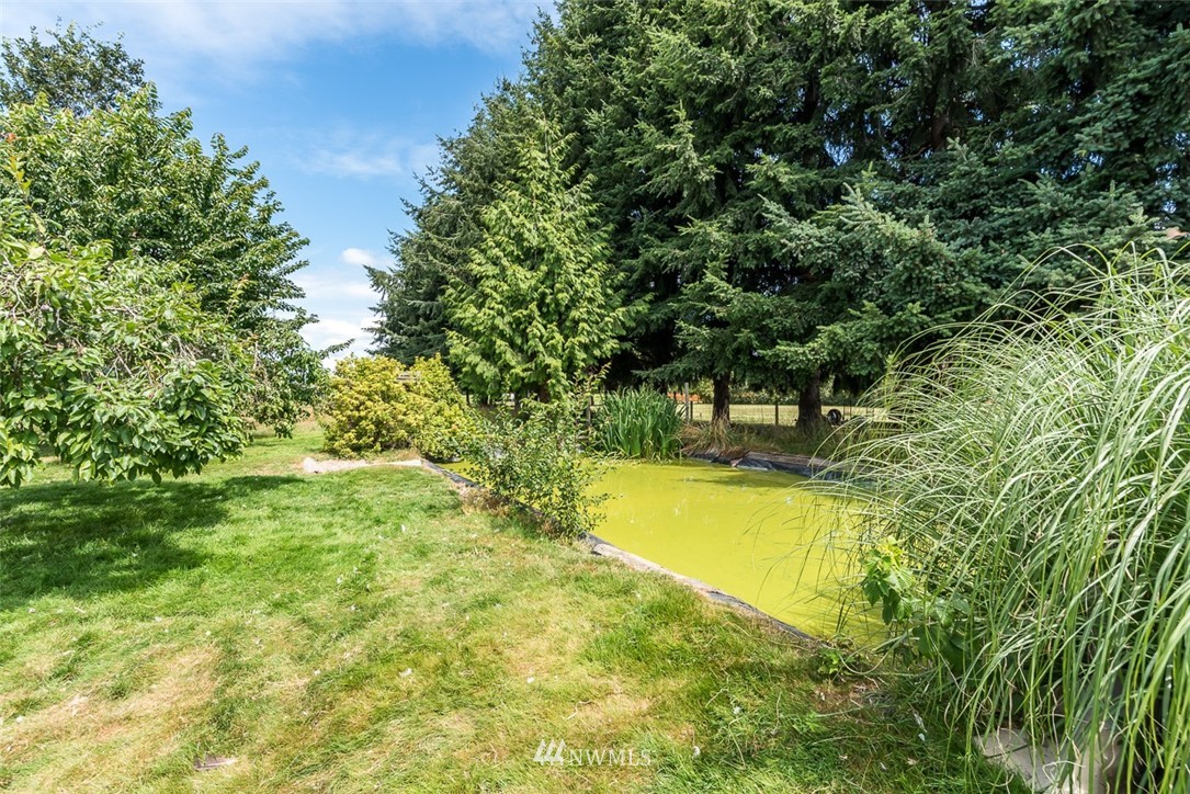 17855 Bennett Road Mount Vernon, WA 98273 - Photo 39 of 40 a view of a swimming pool with an outdoor seating and a forest