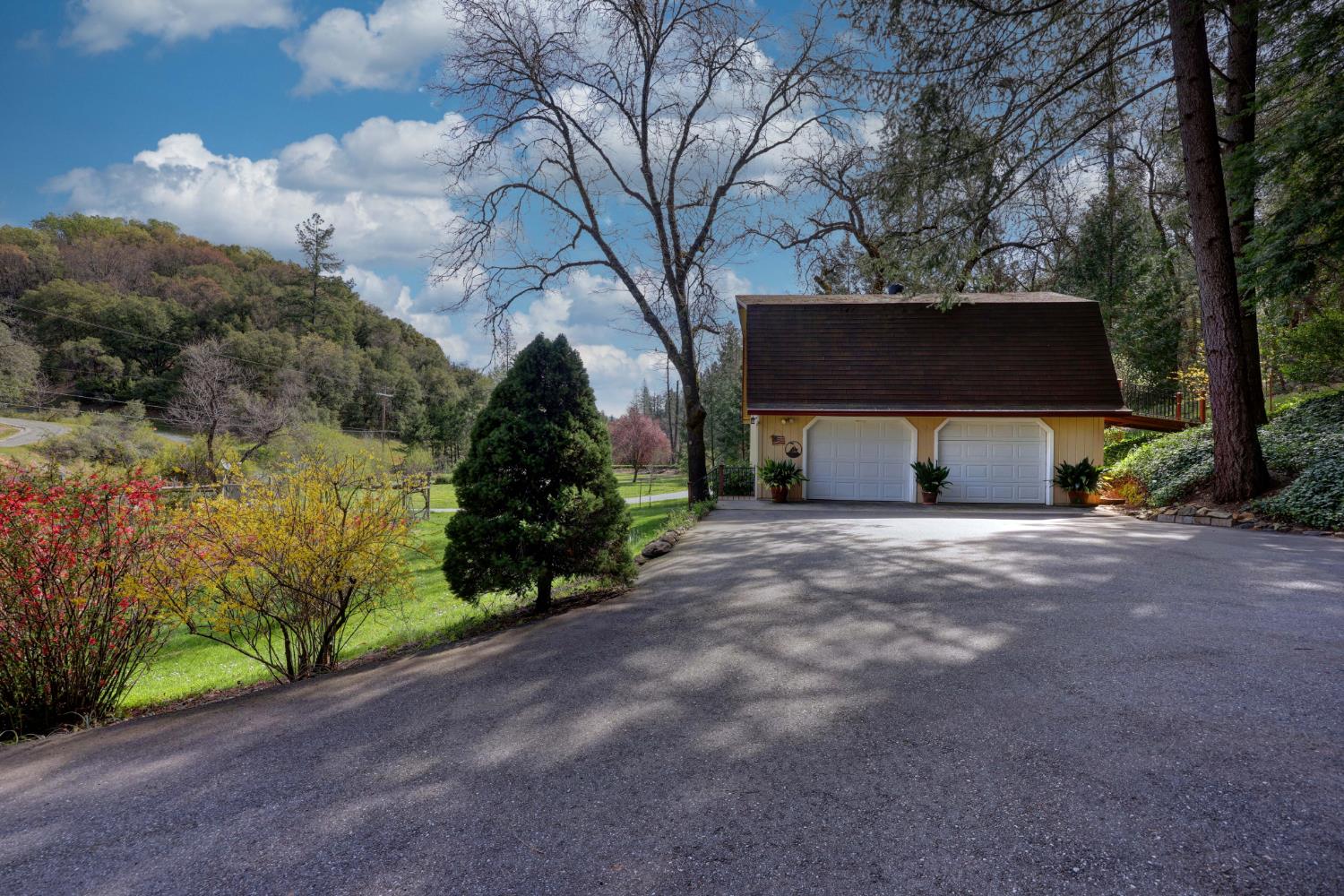 409 Live Oak Road Colfax, CA 95713 - Photo 11 of 74