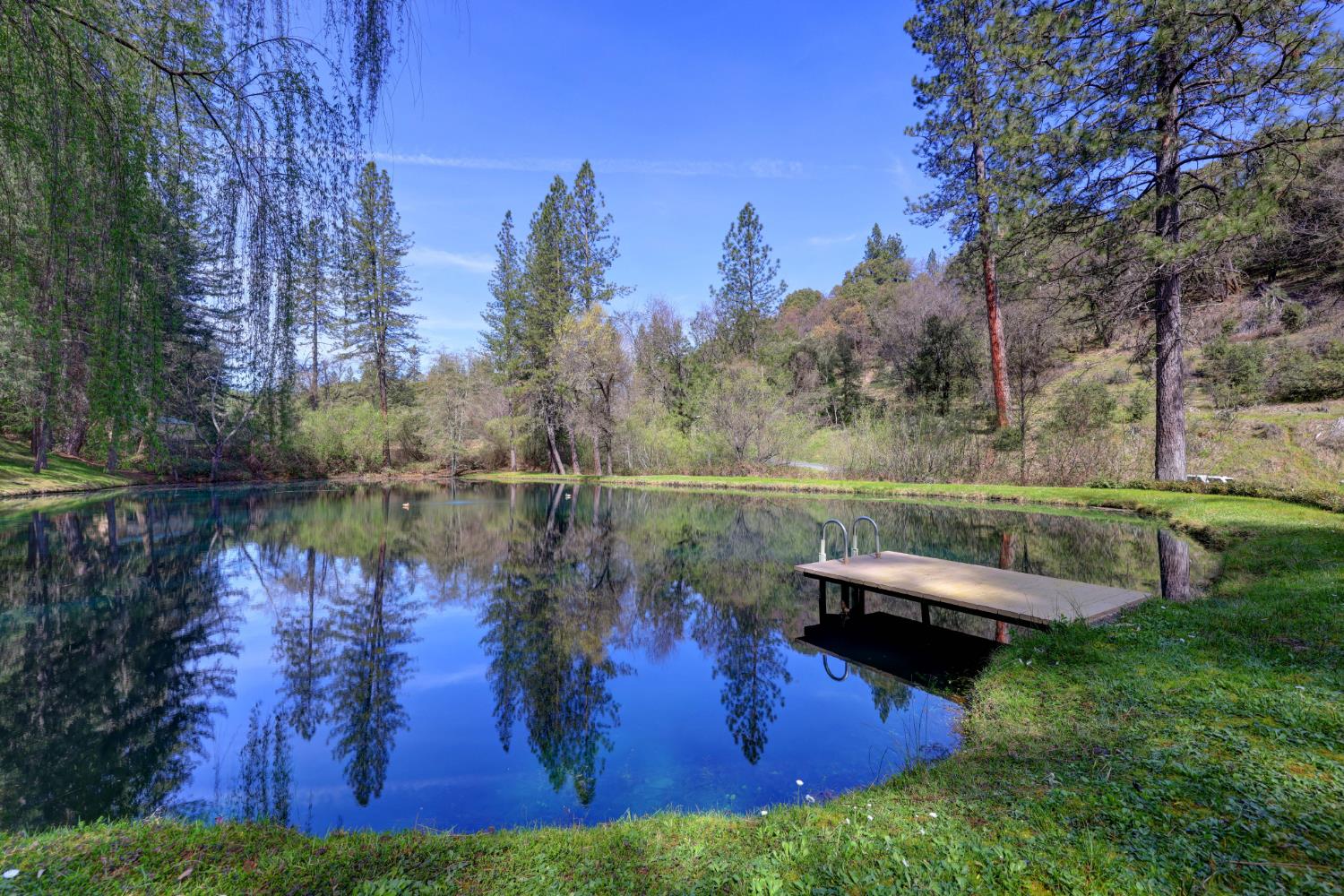 409 Live Oak Road Colfax, CA 95713 - Photo 2 of 74 It is just amazing!!