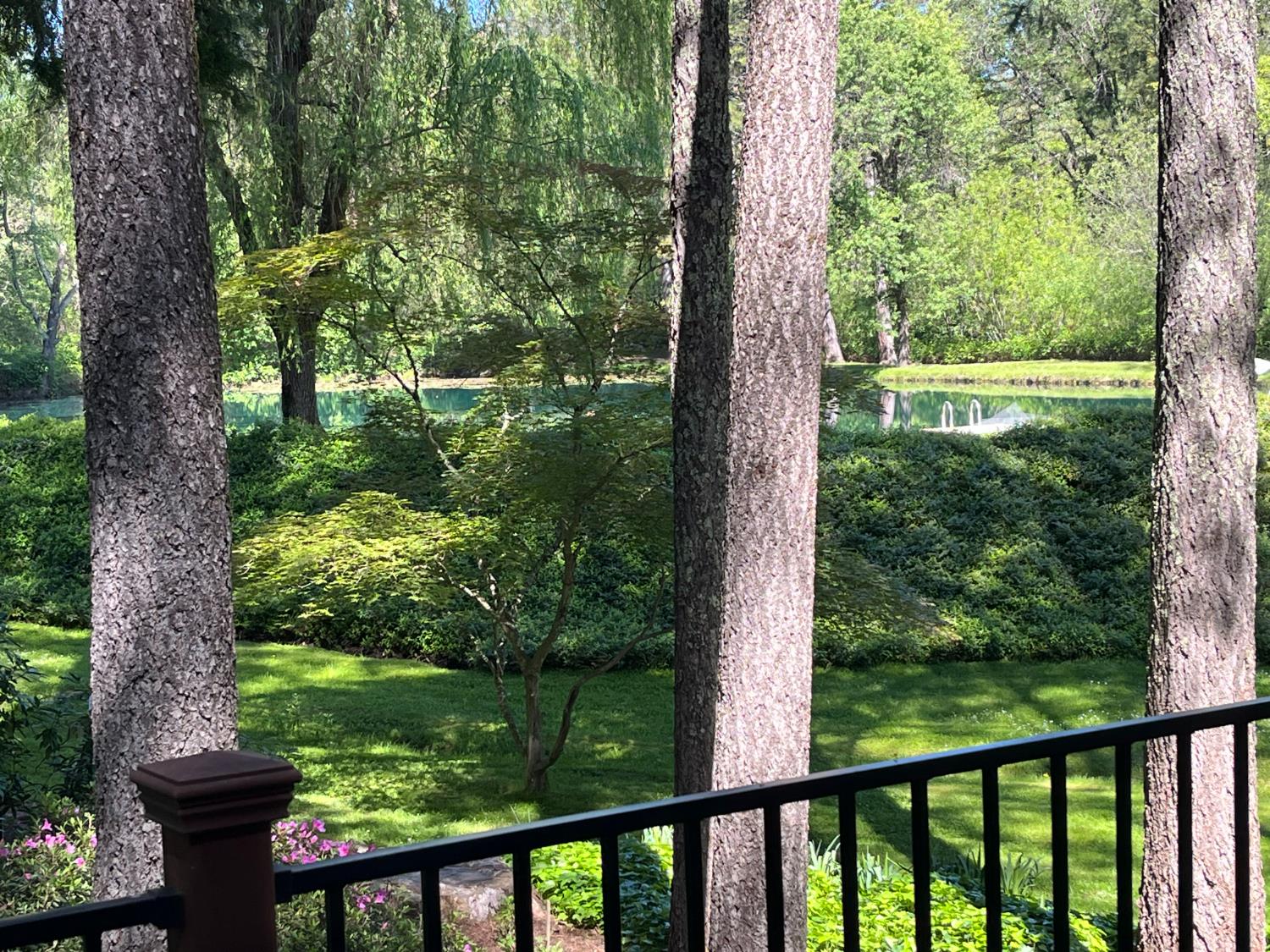 409 Live Oak Road Colfax, CA 95713 - Photo 28 of 74