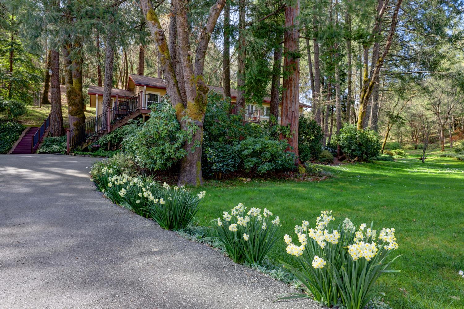 409 Live Oak Road Colfax, CA 95713 - Photo 4 of 74