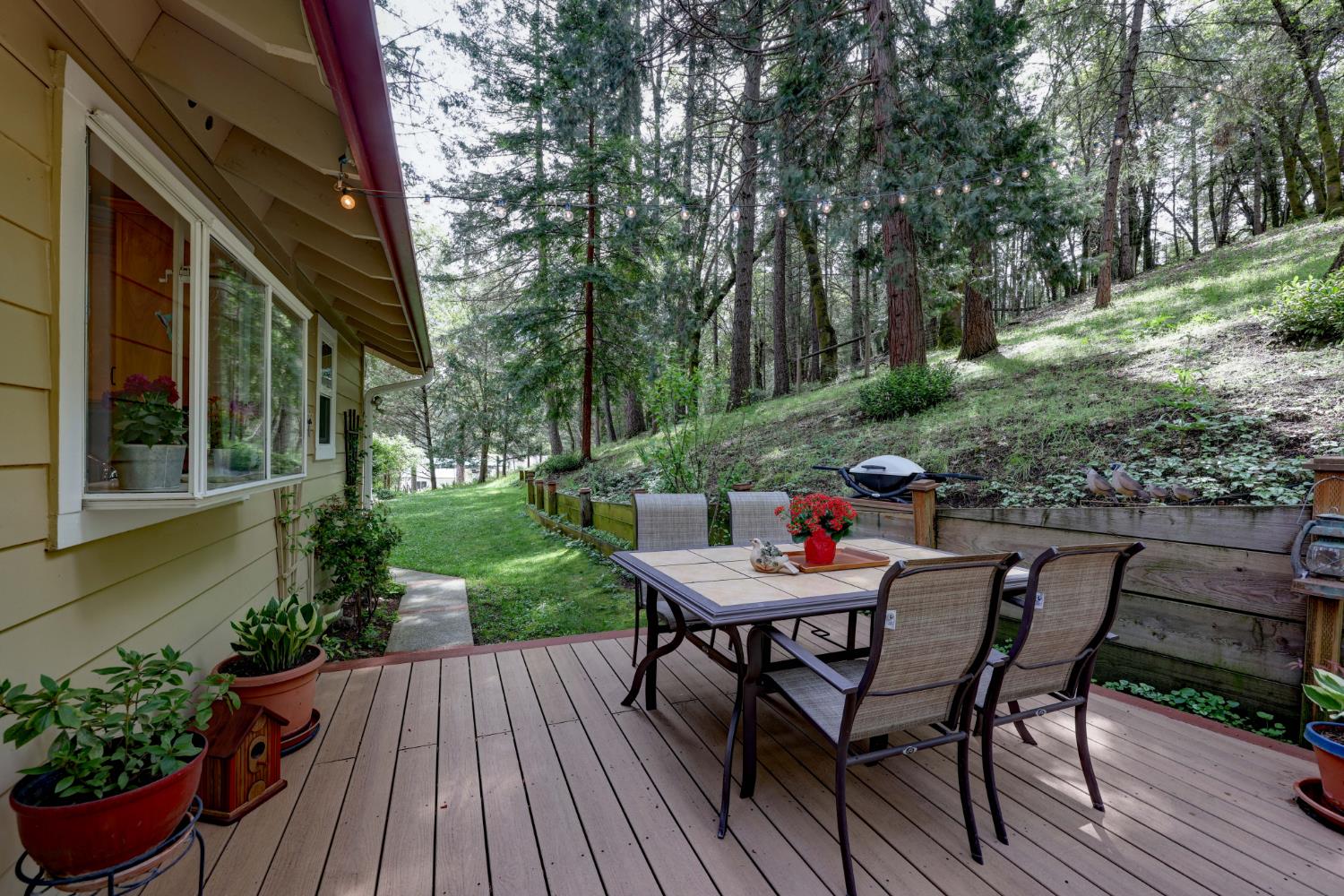 409 Live Oak Road Colfax, CA 95713 - Photo 41 of 74