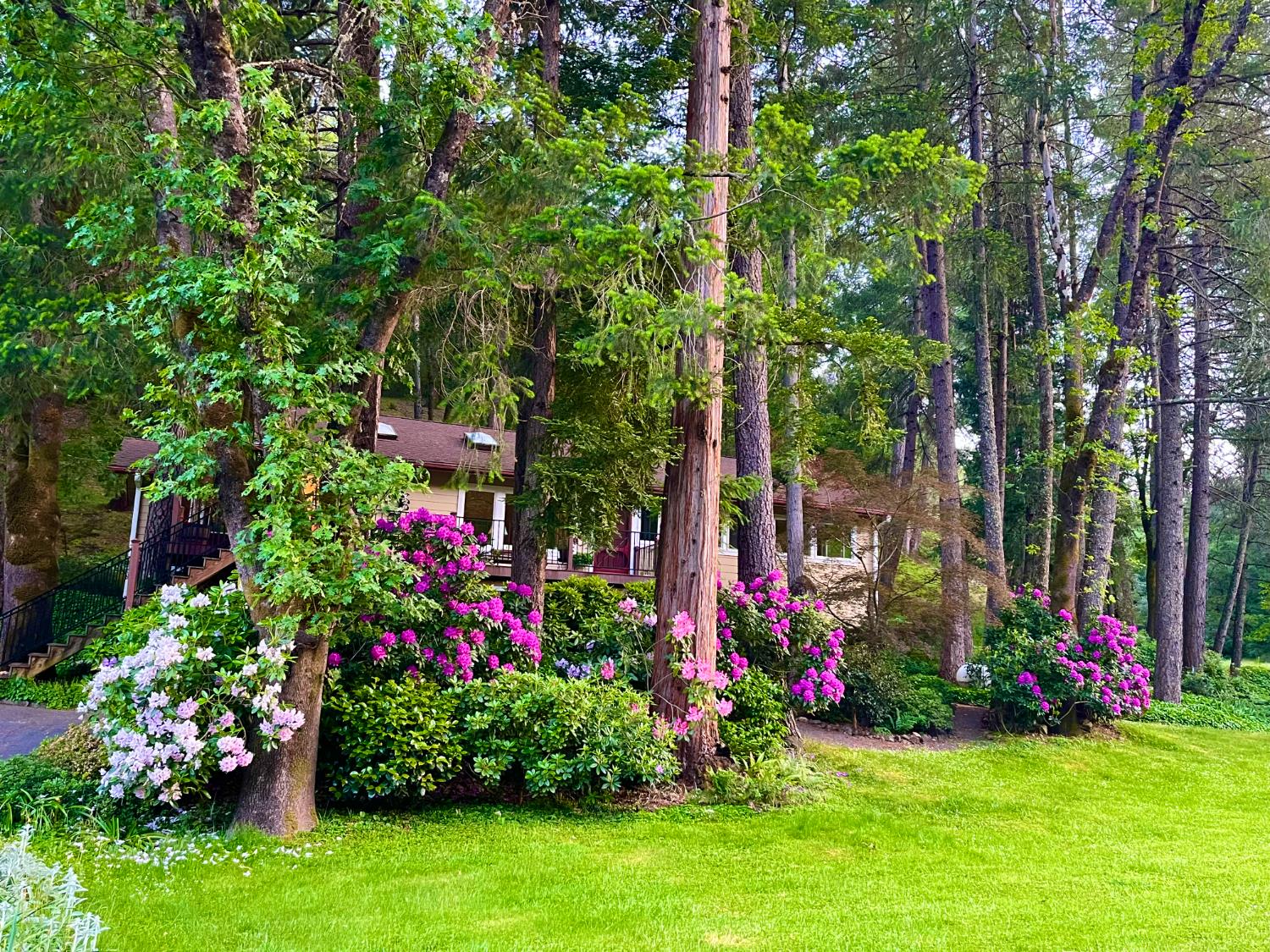 409 Live Oak Road Colfax, CA 95713 - Photo 5 of 74