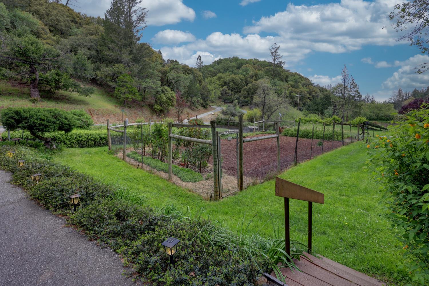 409 Live Oak Road Colfax, CA 95713 - Photo 53 of 74 The veggie garden is awaiting its next gardener!