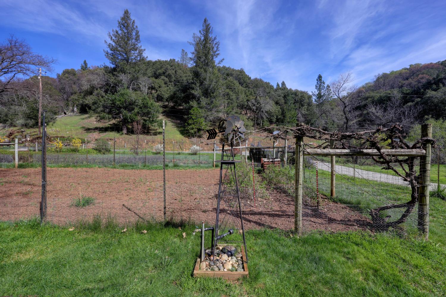 409 Live Oak Road Colfax, CA 95713 - Photo 54 of 74