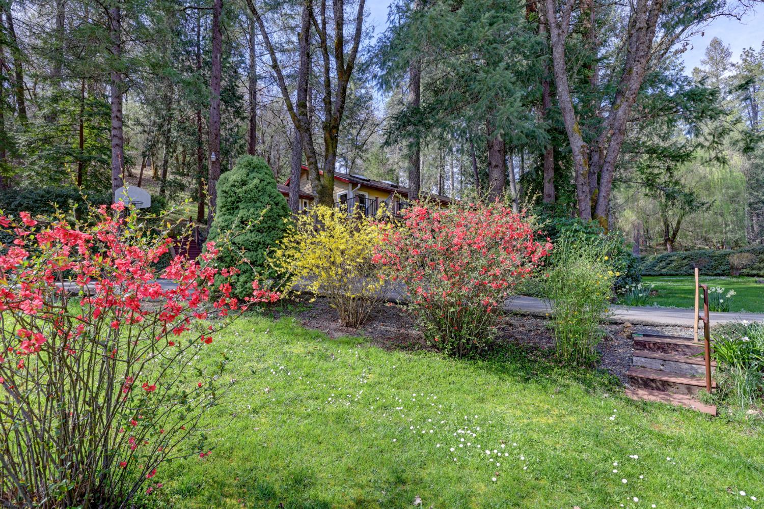 409 Live Oak Road Colfax, CA 95713 - Photo 55 of 74