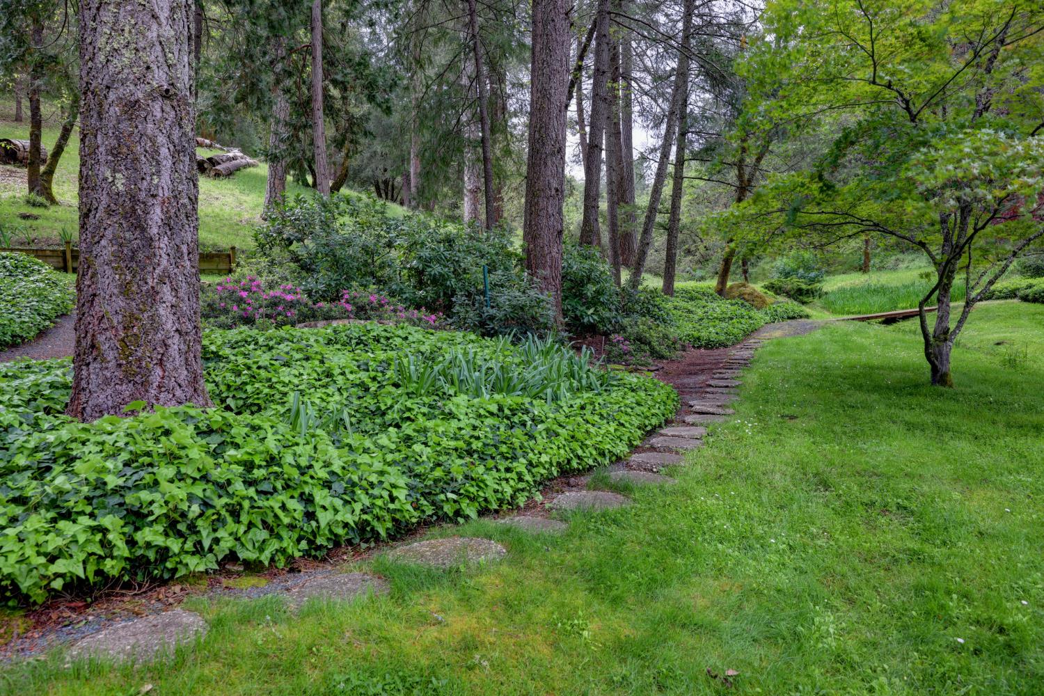 409 Live Oak Road Colfax, CA 95713 - Photo 62 of 74 A pathway from the house to the large pond.