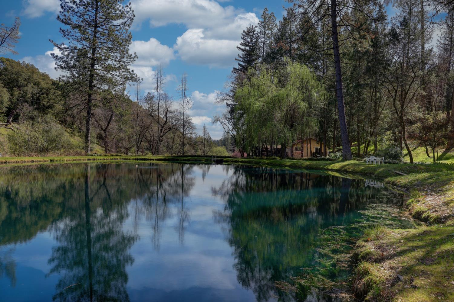 409 Live Oak Road Colfax, CA 95713 - Photo 65 of 74