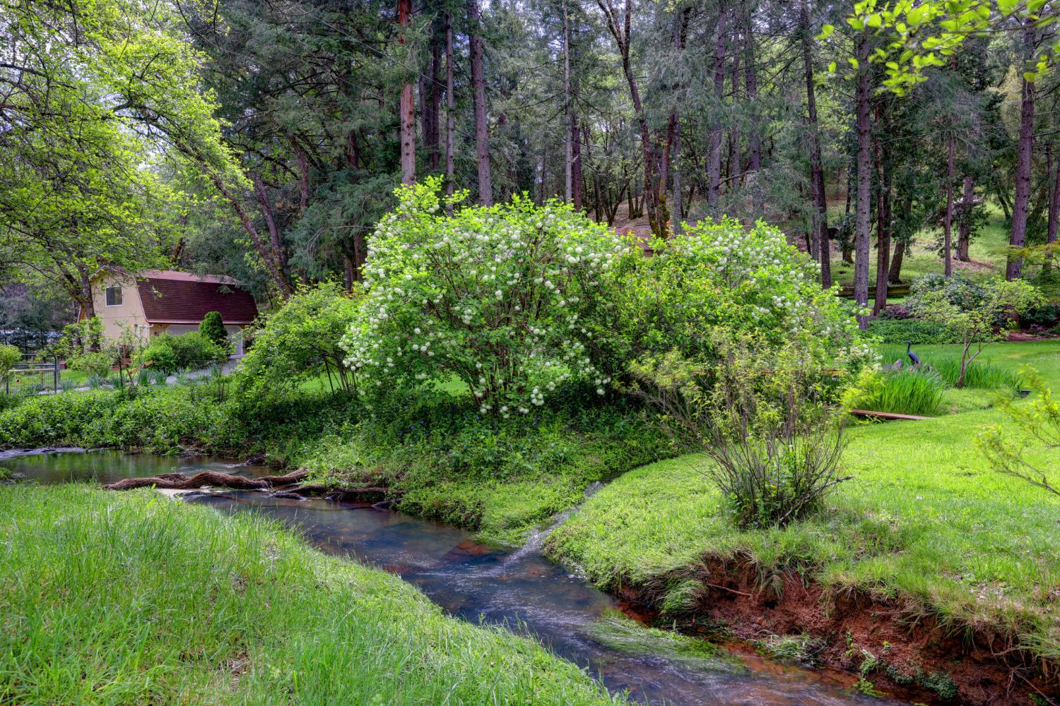 409 Live Oak Road Colfax, CA 95713 - Photo 66 of 74