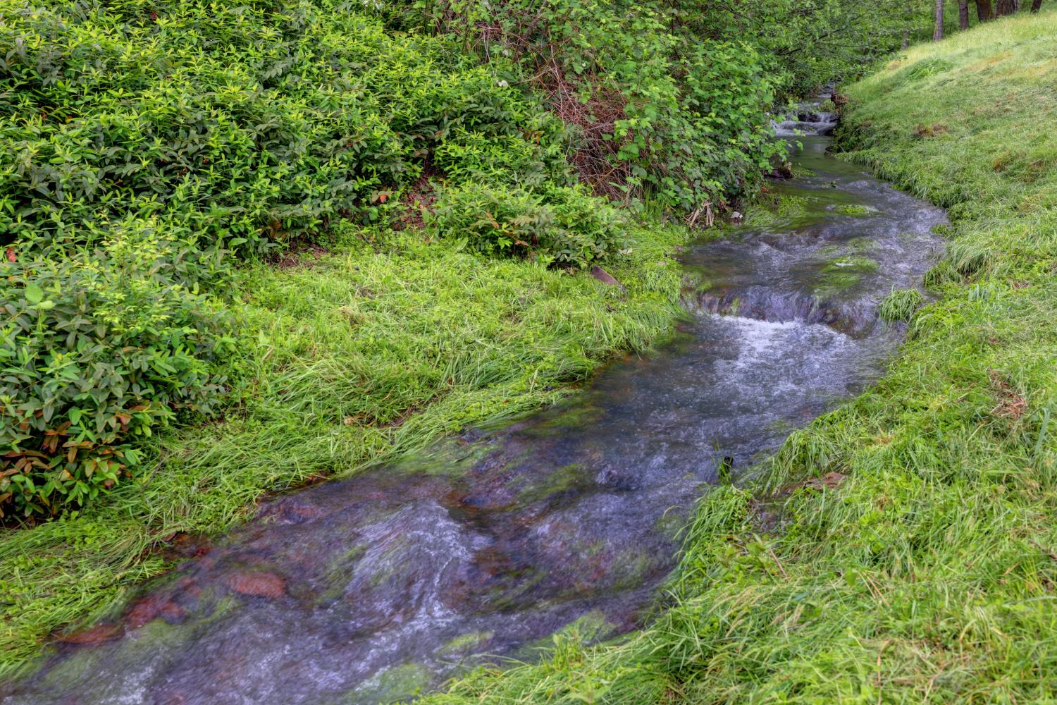 409 Live Oak Road Colfax, CA 95713 - Photo 67 of 74