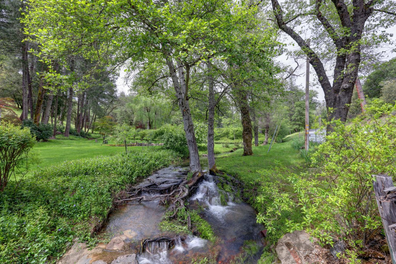 409 Live Oak Road Colfax, CA 95713 - Photo 68 of 74