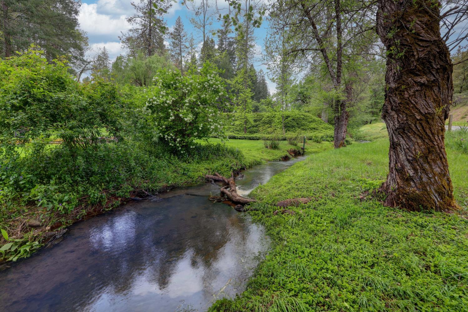 409 Live Oak Road Colfax, CA 95713 - Photo 69 of 74
