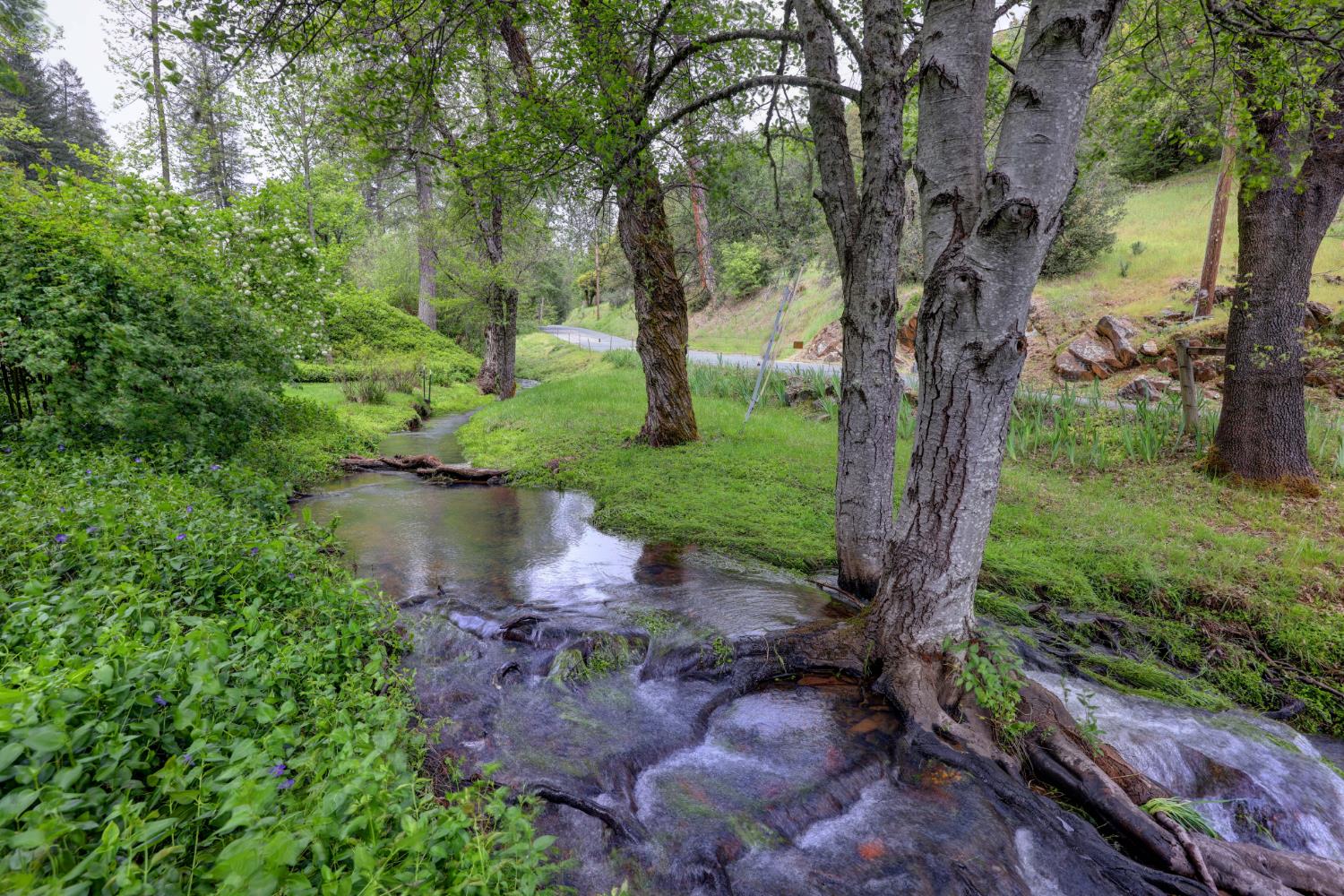 409 Live Oak Road Colfax, CA 95713 - Photo 70 of 74