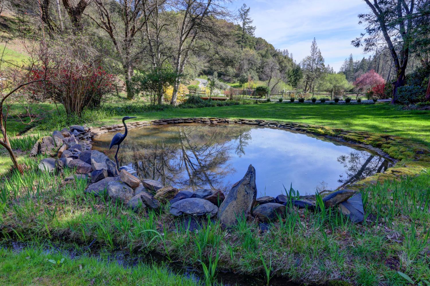 409 Live Oak Road Colfax, CA 95713 - Photo 7 of 74 This smaller pond is below the large pond.