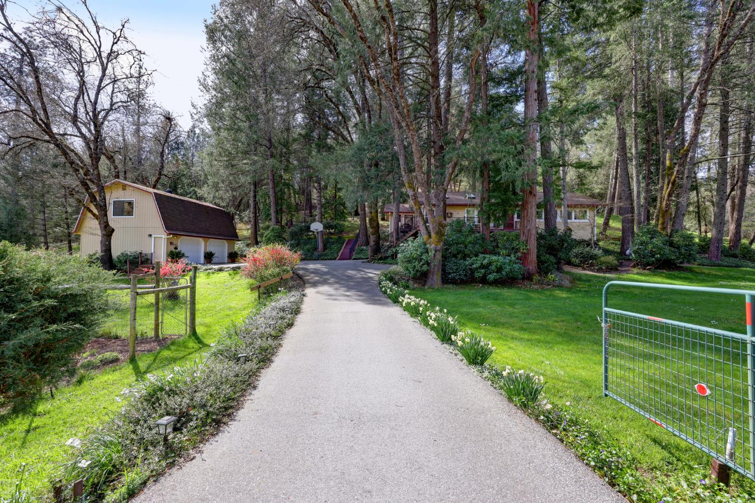 409 Live Oak Road Colfax, CA 95713 - Photo 74 of 74 Yes the driveway has a gate for when you need it.