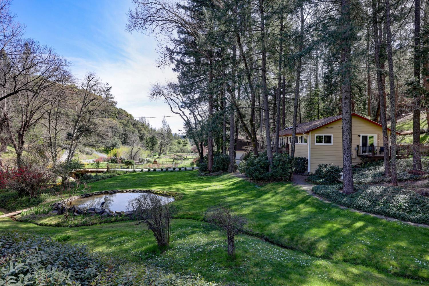 409 Live Oak Road Colfax, CA 95713 - Photo 8 of 74 View looking down on the smaller pond from the larger one!