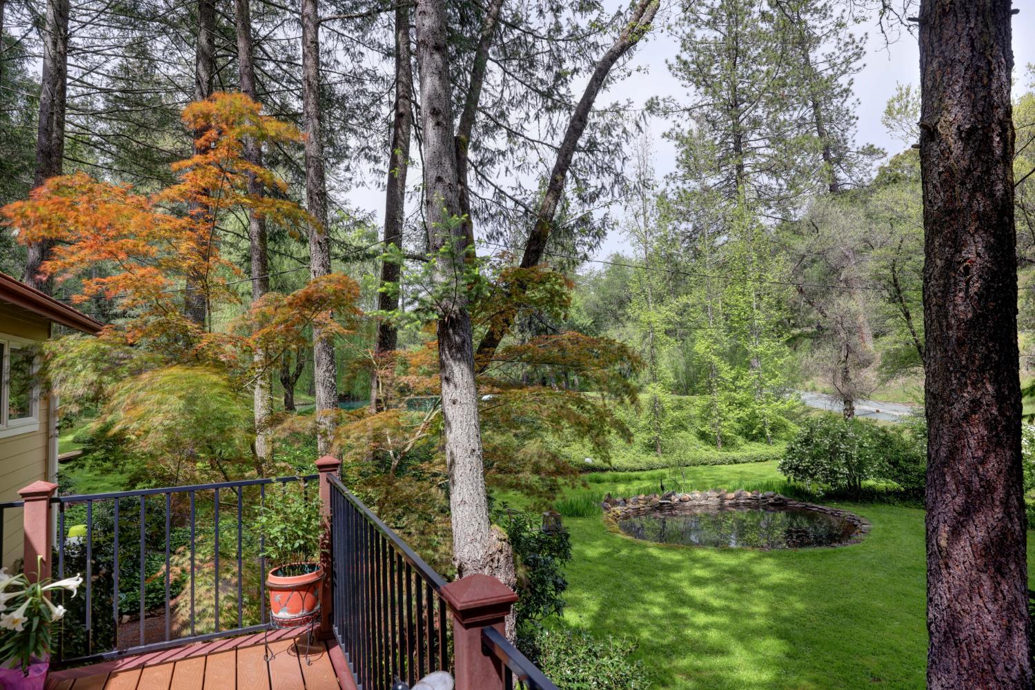409 Live Oak Road Colfax, CA 95713 - Photo 9 of 74 Fall colors from the front deck.