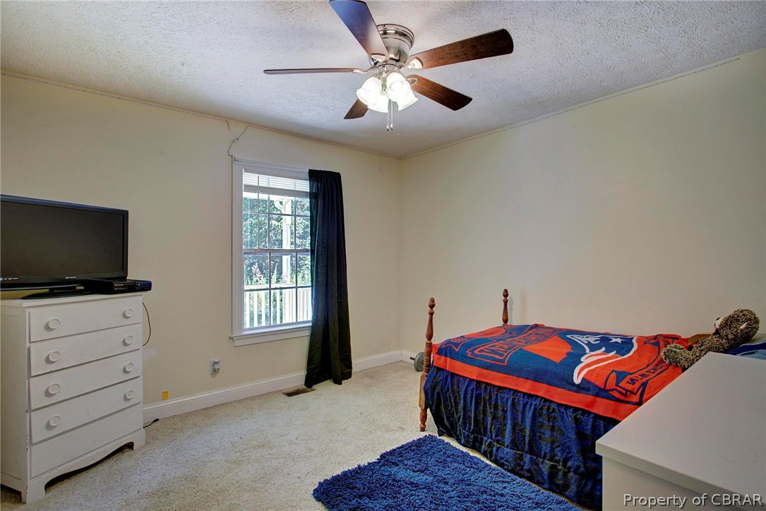 1282 McKans Road Laneview, VA 22504 - Photo 20 of 37 Gallery Image 20