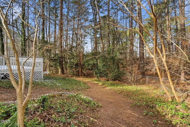 a view of backyard with green space