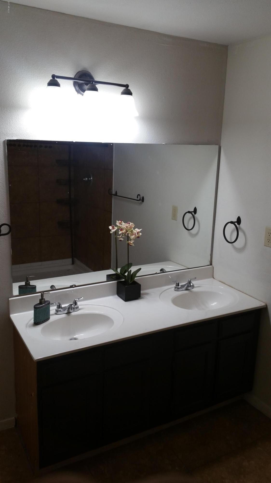 6039 South 46th Street Phoenix, AZ 85042 - Photo 13 of 16 Master Bathroom Sink