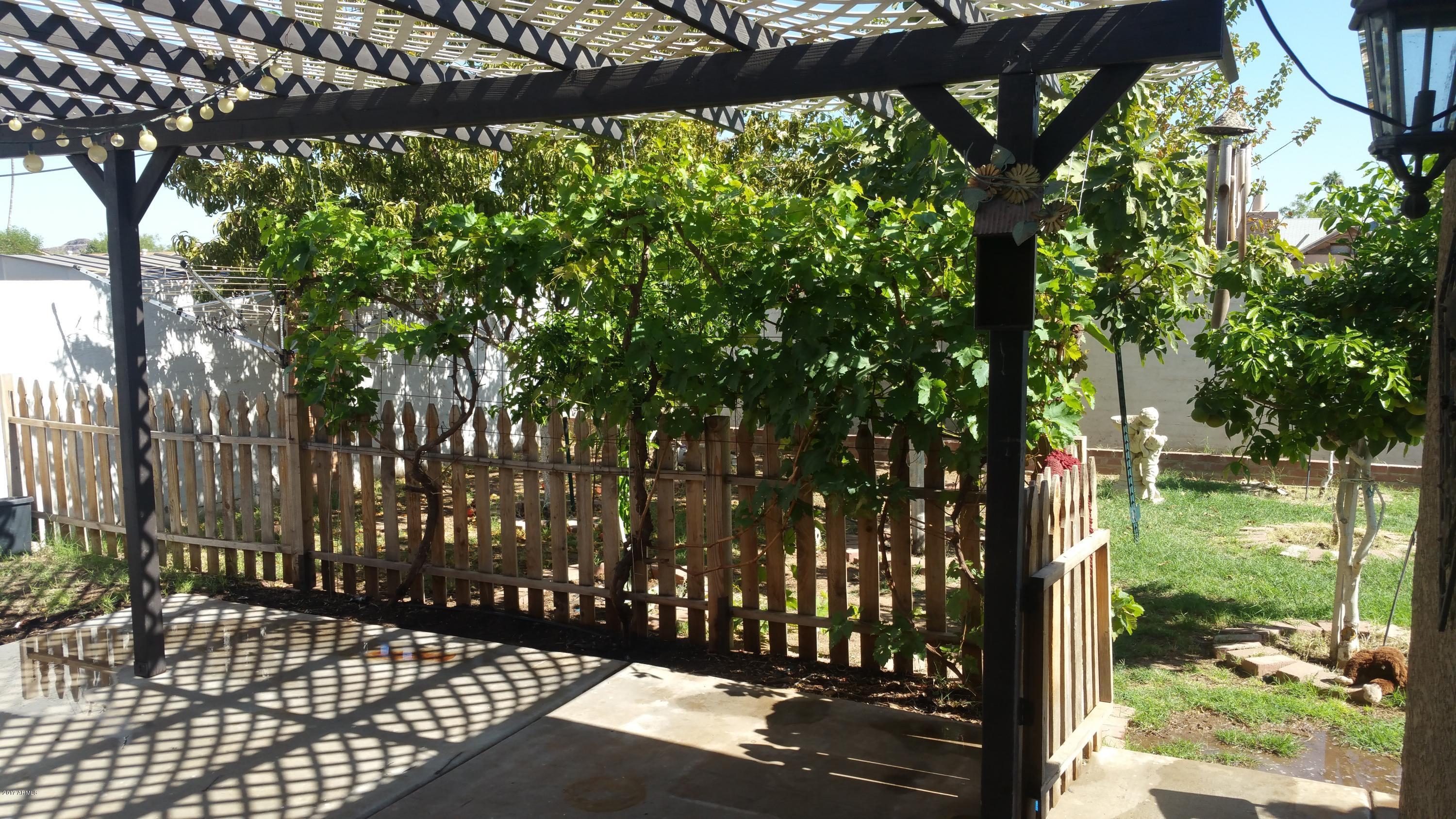 6039 South 46th Street Phoenix, AZ 85042 - Photo 15 of 16 Backyard Patio
