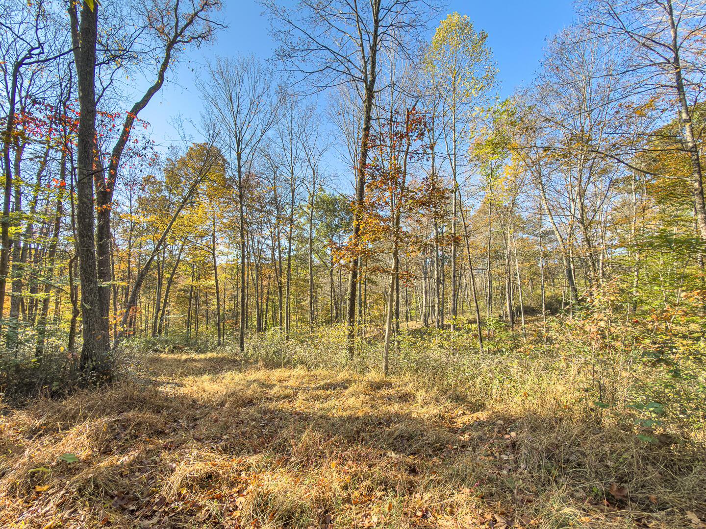 0 Chase Road Albany, OH 45710 - Photo 21 of 37 Chase Rd-21