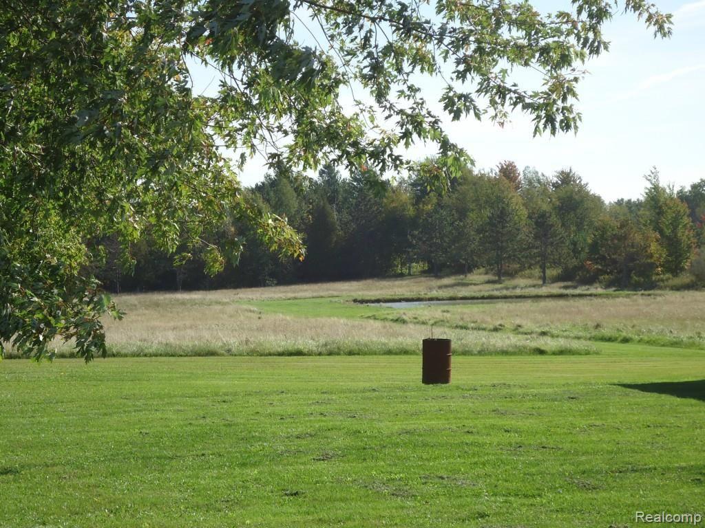 7185 Wildcat Road Croswell, MI 48422 - Photo 10 of 12 Backyard2.jpg