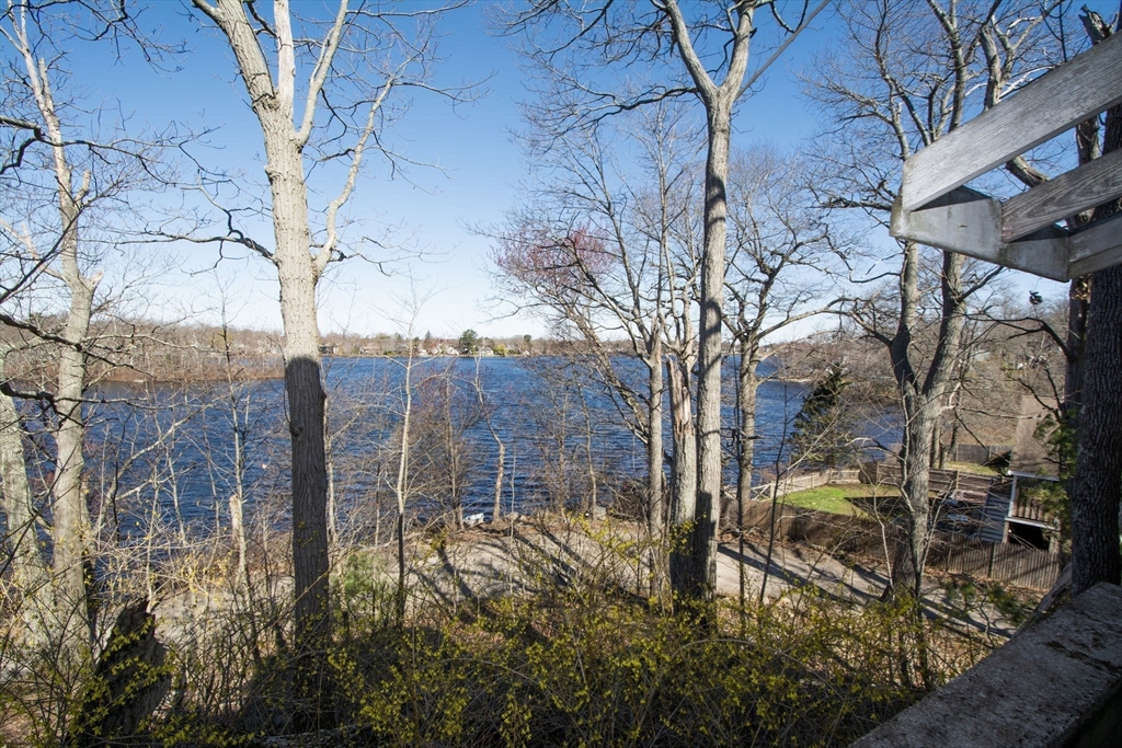 86 Westminster Road Weymouth, MA 02189 - Photo 2 of 15 a view of a yard with plants and trees