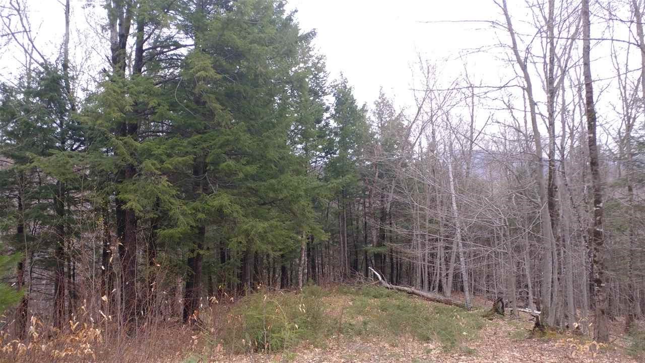 West Ledge Road Glen, NH 03838 - Photo 1 of 4 Gallery Image 1