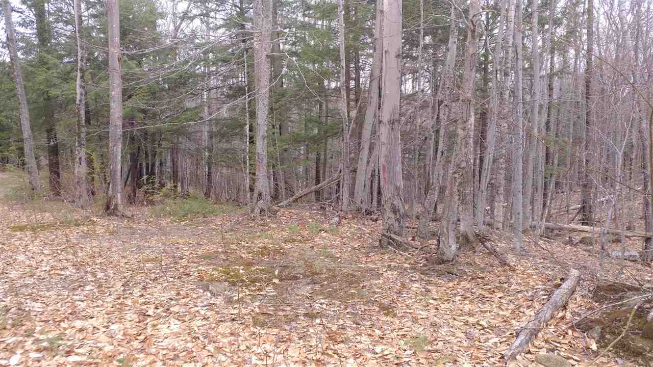 West Ledge Road Glen, NH 03838 - Photo 2 of 4 Gallery Image 2