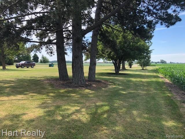 3754 Frenchline Road Marlette, MI 48453 - Photo 51 of 53 29.jpg