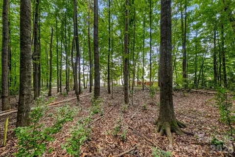 $399,000 | 1437 Deer Forest Drive, Fort Mill, SC 29707