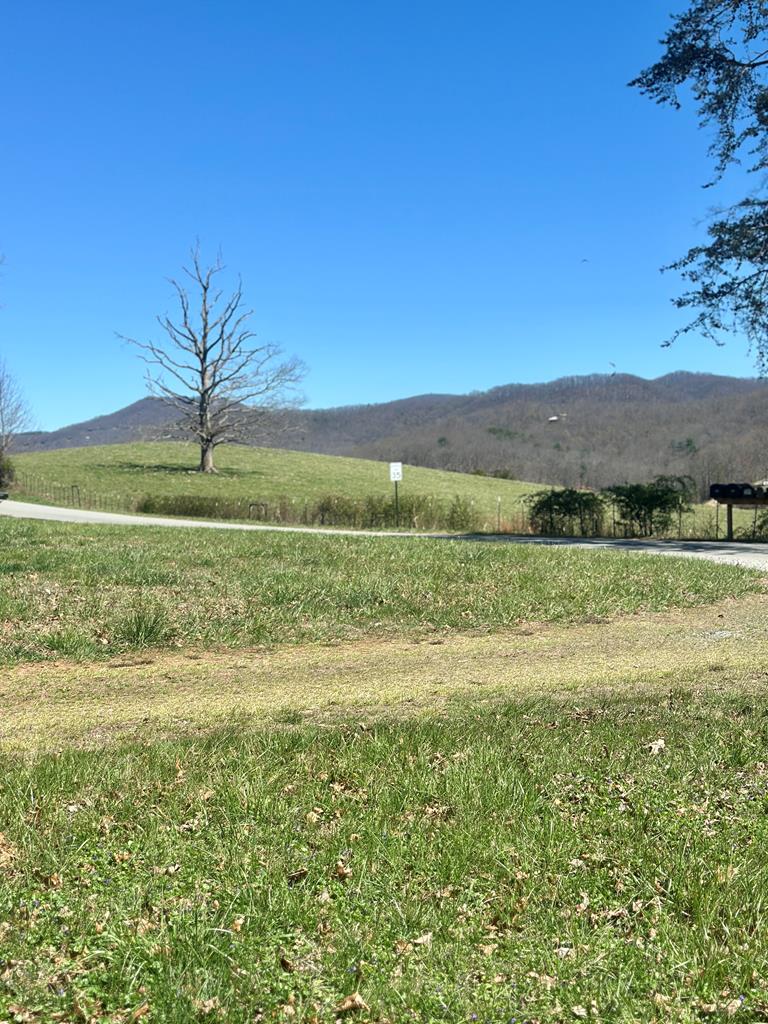 554 Tipton Springs Road Morganton, GA 30560 - Photo 71 of 74