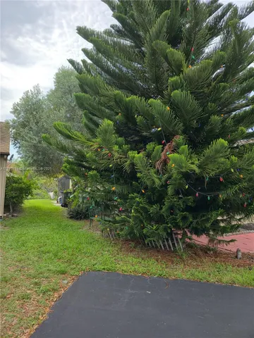 a view of a yard with plants and a tree