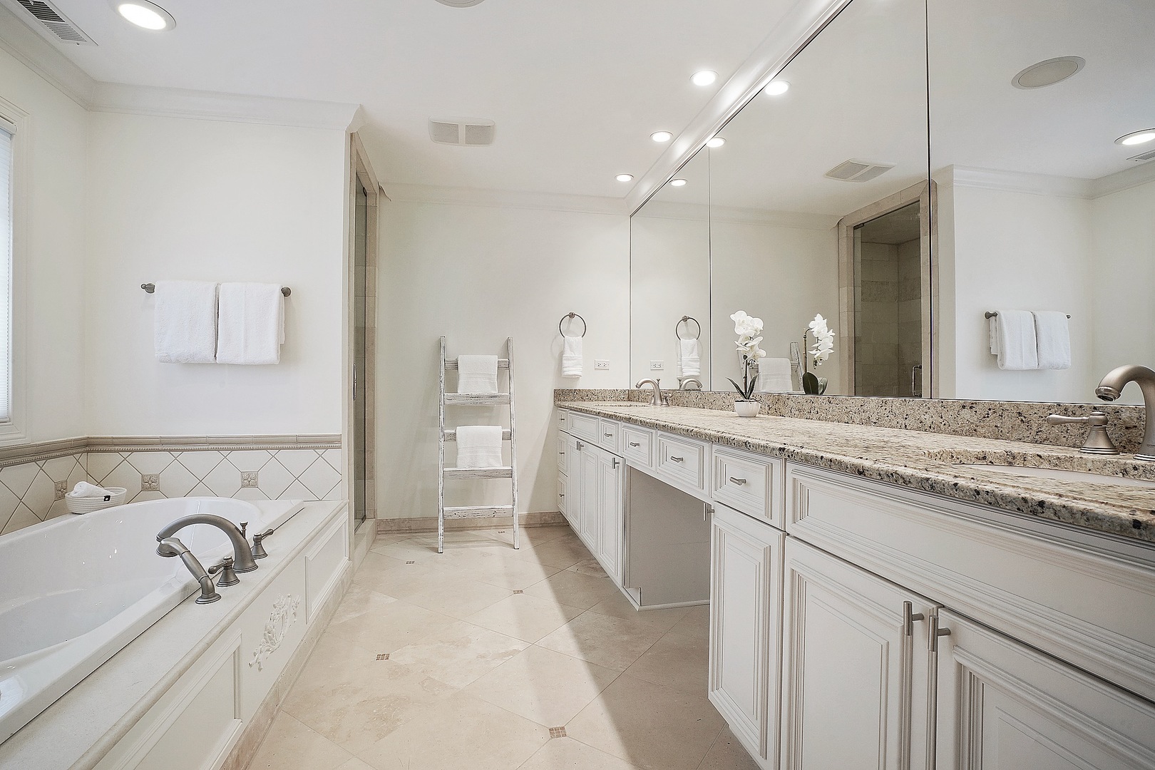 1004 Lee Road Northbrook, IL 60062 - Photo 14 of 30 a bathroom with a tub sink double vanity and mirror