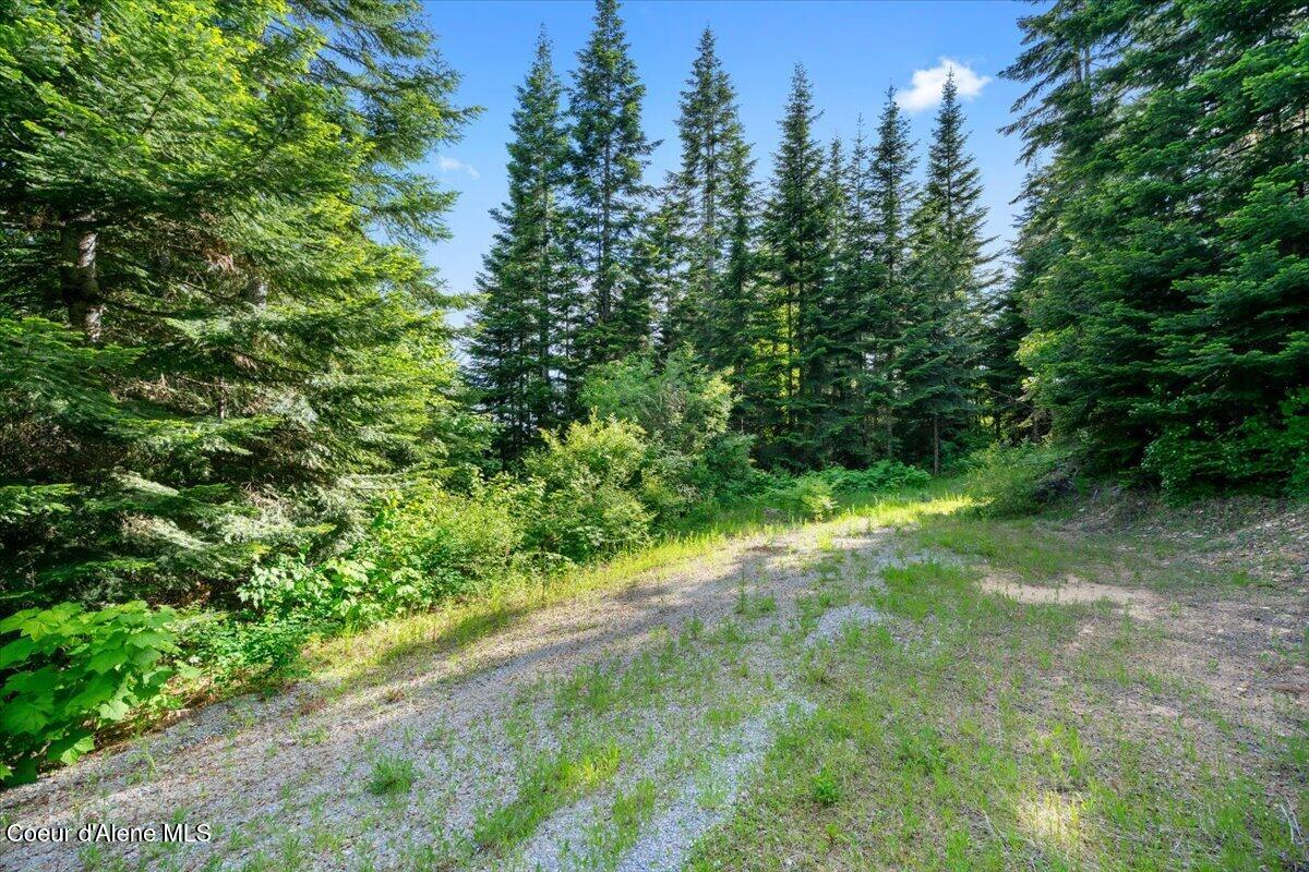 17378 North Freddi Road Rathdrum, ID 83858 - Photo 68 of 83 68-View