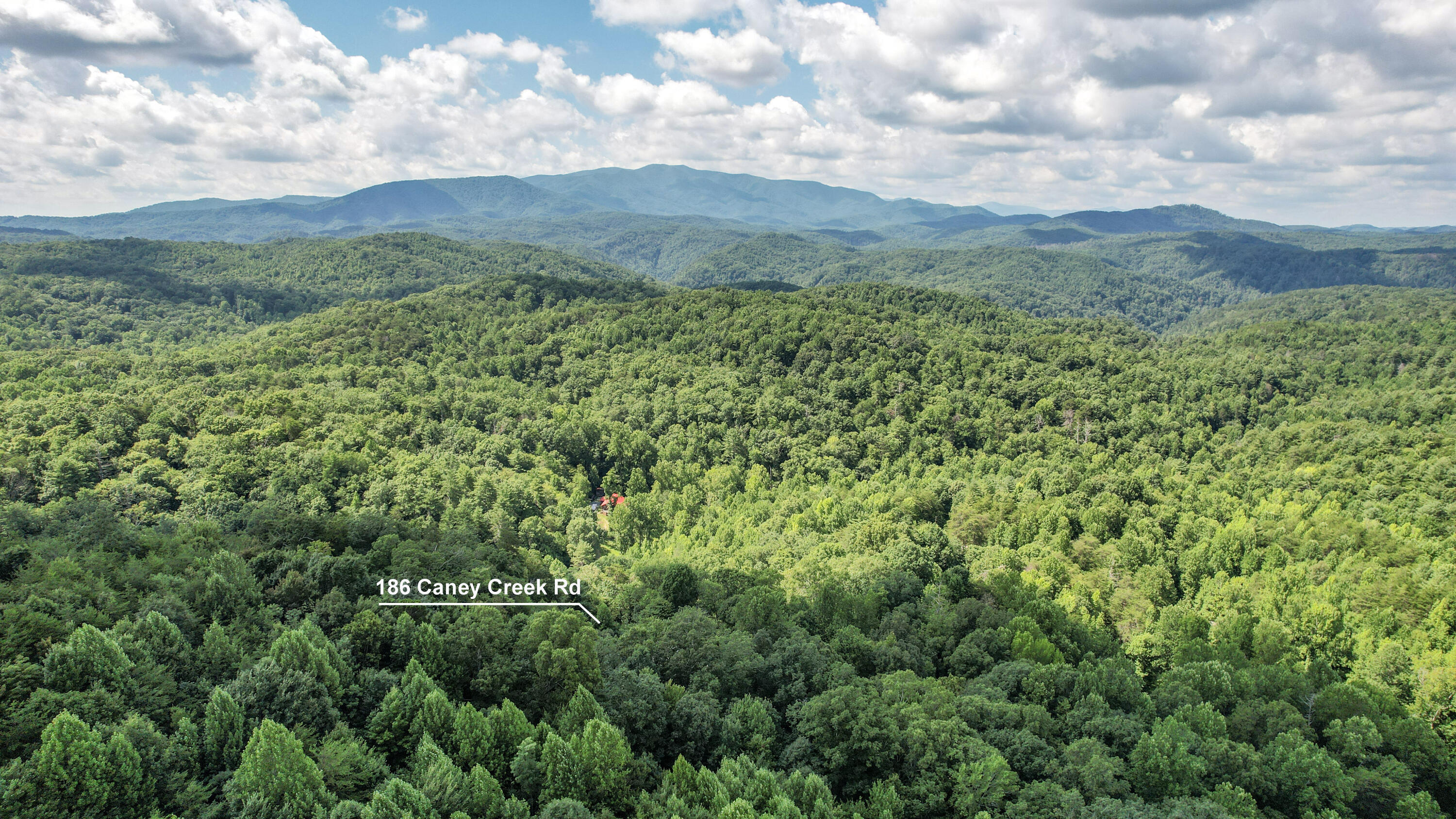 186 Caney Creek Road Reliance, TN 37369 - Photo 75 of 89 76-DJI_0019-Edit