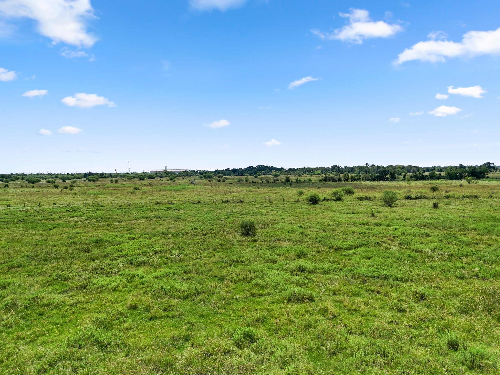 9919 Bohacek Road Beasley, TX 77417 - Photo 31 of 46 a view of a green field with lots of trees in background