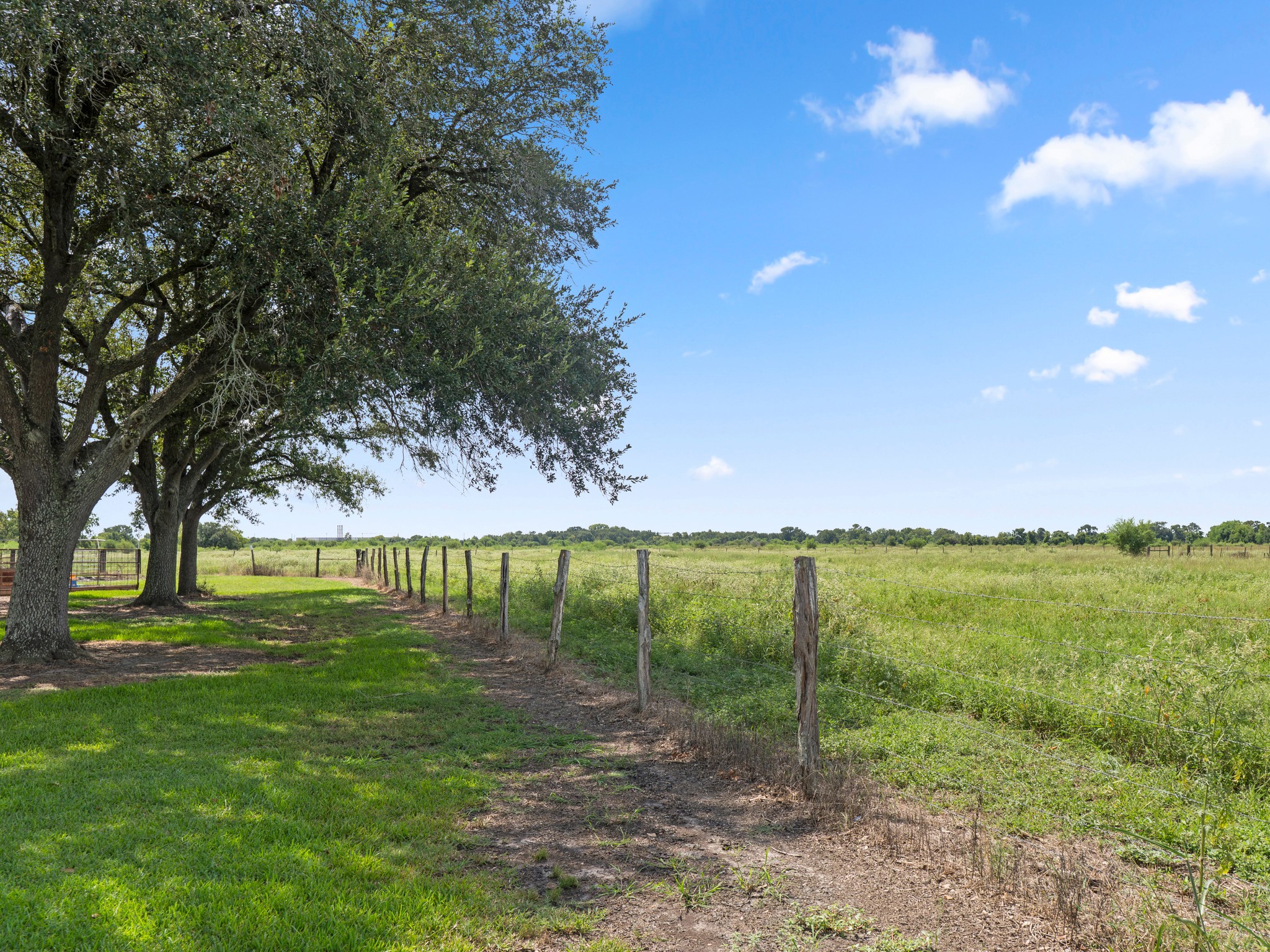 9919 Bohacek Road Beasley, TX 77417 - Photo 44 of 46 a view of a garden with an outdoor space