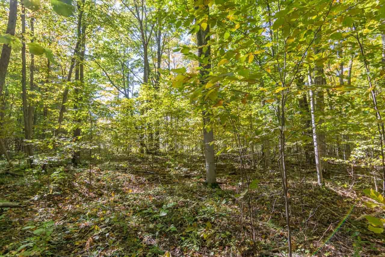 0 South Fritz Road Maple City, MI 49664 - Photo 14 of 16