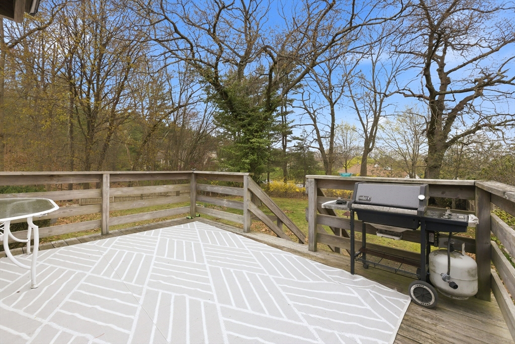 17 Evergreen Road Needham, MA 02494 - Photo 22 of 27