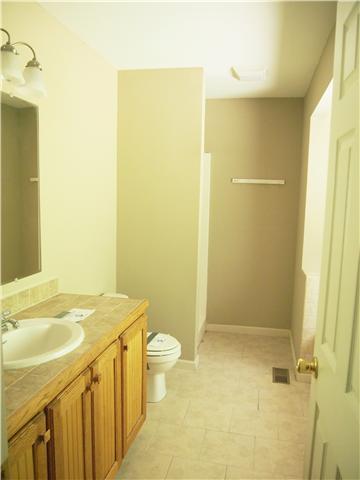 3494 Booker Ridge Road Mount Pleasant, TN 38474 - Photo 15 of 20 Mast Bath with separate bathtub and stand up shower