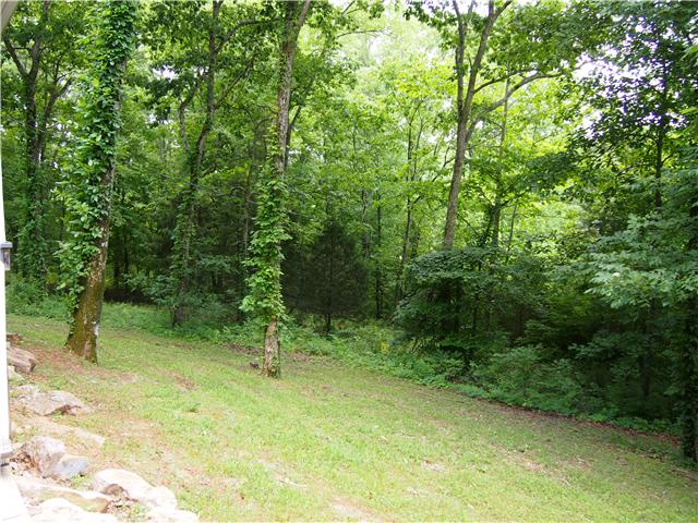3494 Booker Ridge Road Mount Pleasant, TN 38474 - Photo 3 of 20 Surrounded by trees for a privacy and a secluded feel