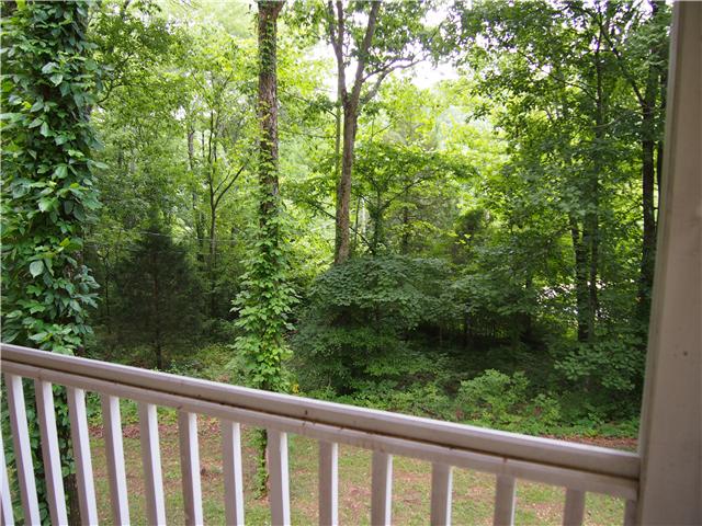 3494 Booker Ridge Road Mount Pleasant, TN 38474 - Photo 6 of 20 Great View off the front porch